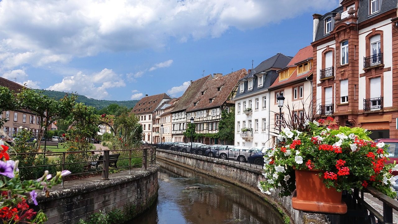 wissembourg vineyards france free photo