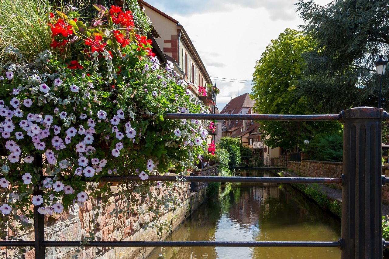 wissembourg france old town free photo