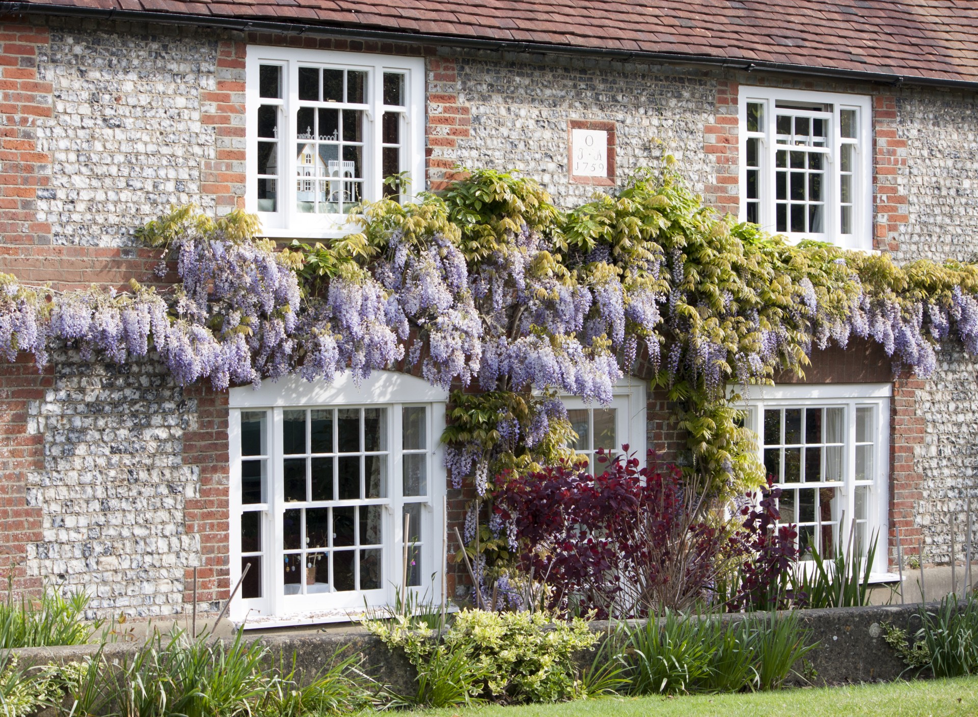 wisteria cottage old free photo