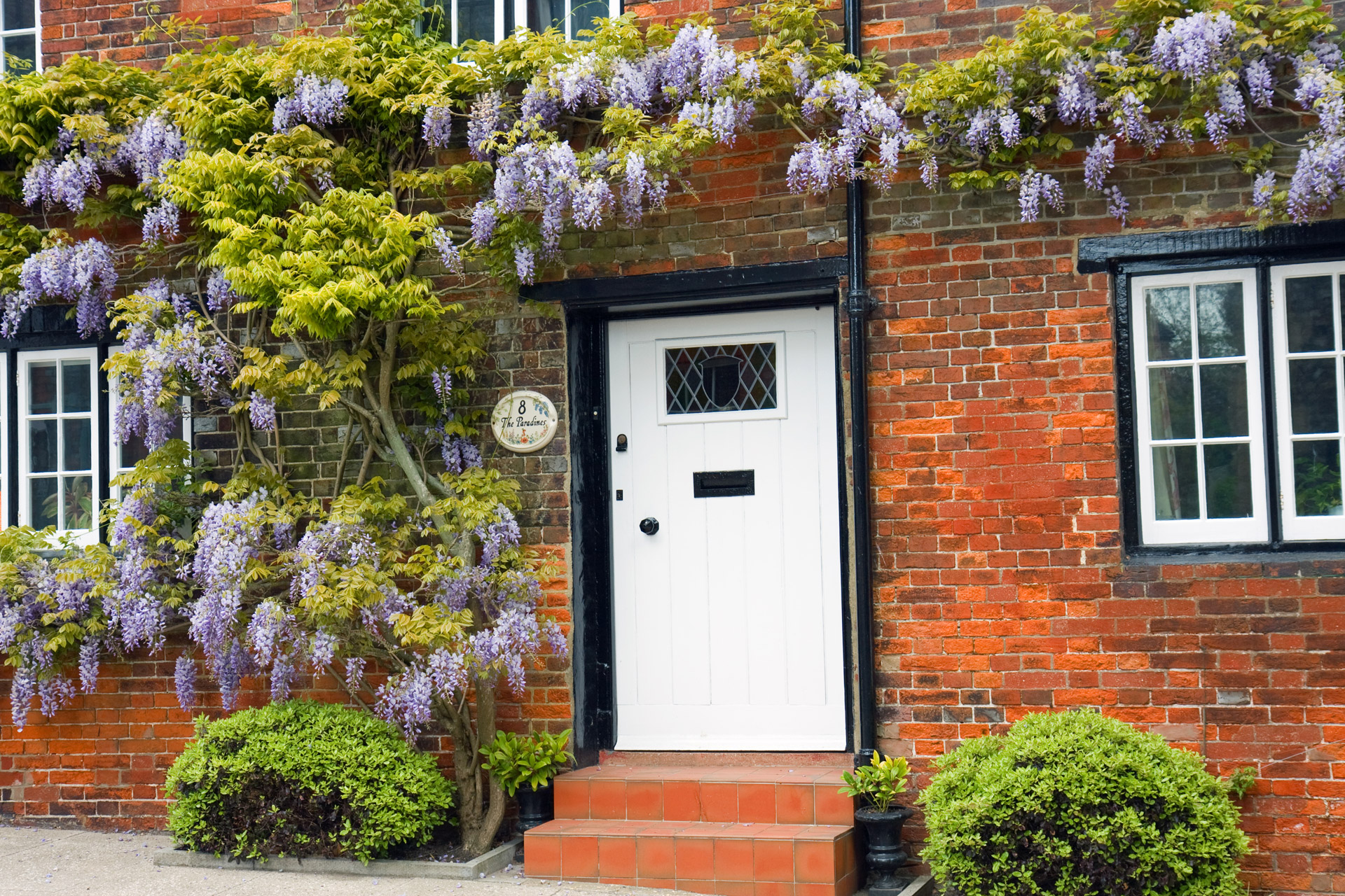 wisteria house red brick free photo