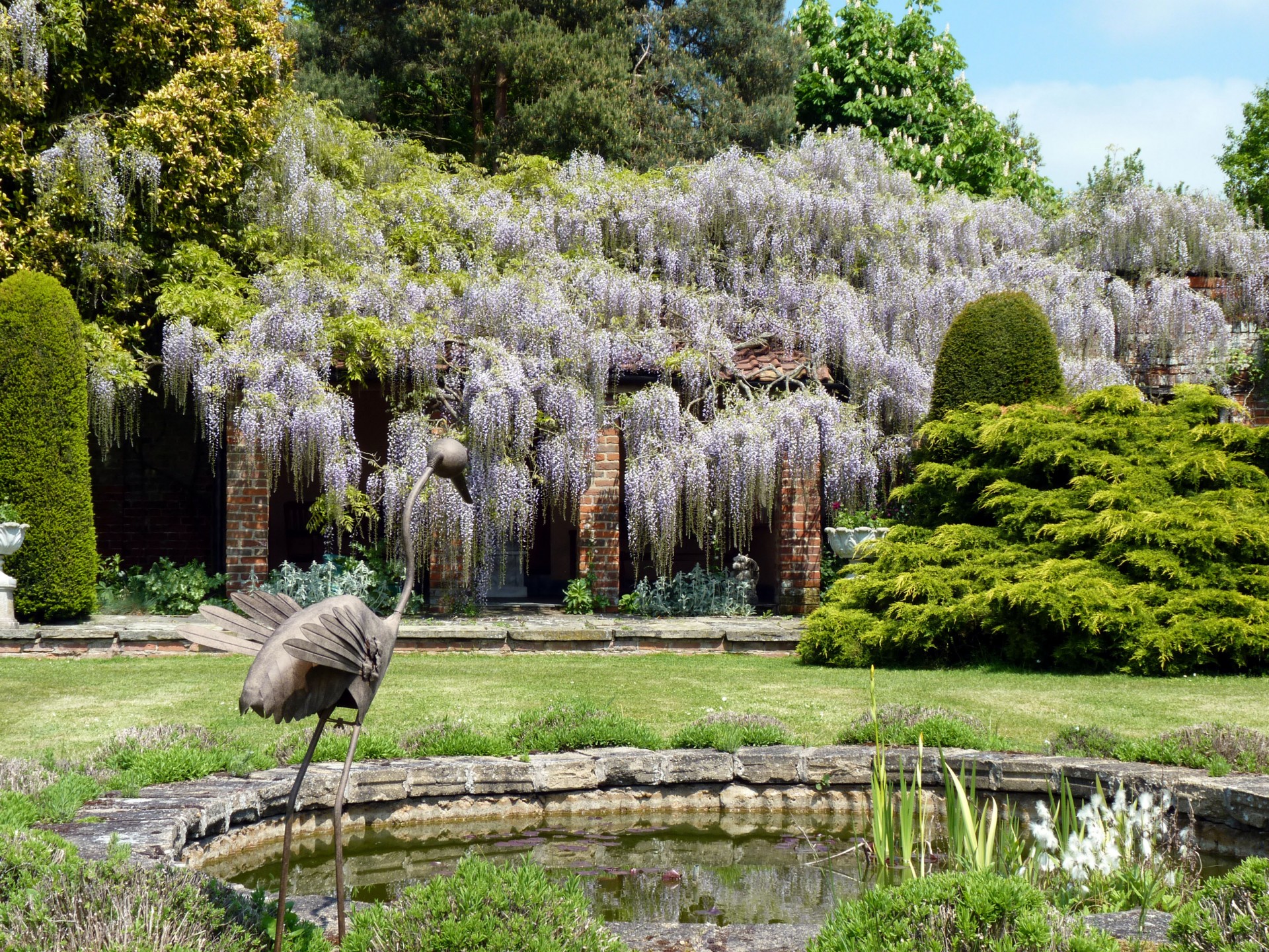 wisteria garden essex free photo