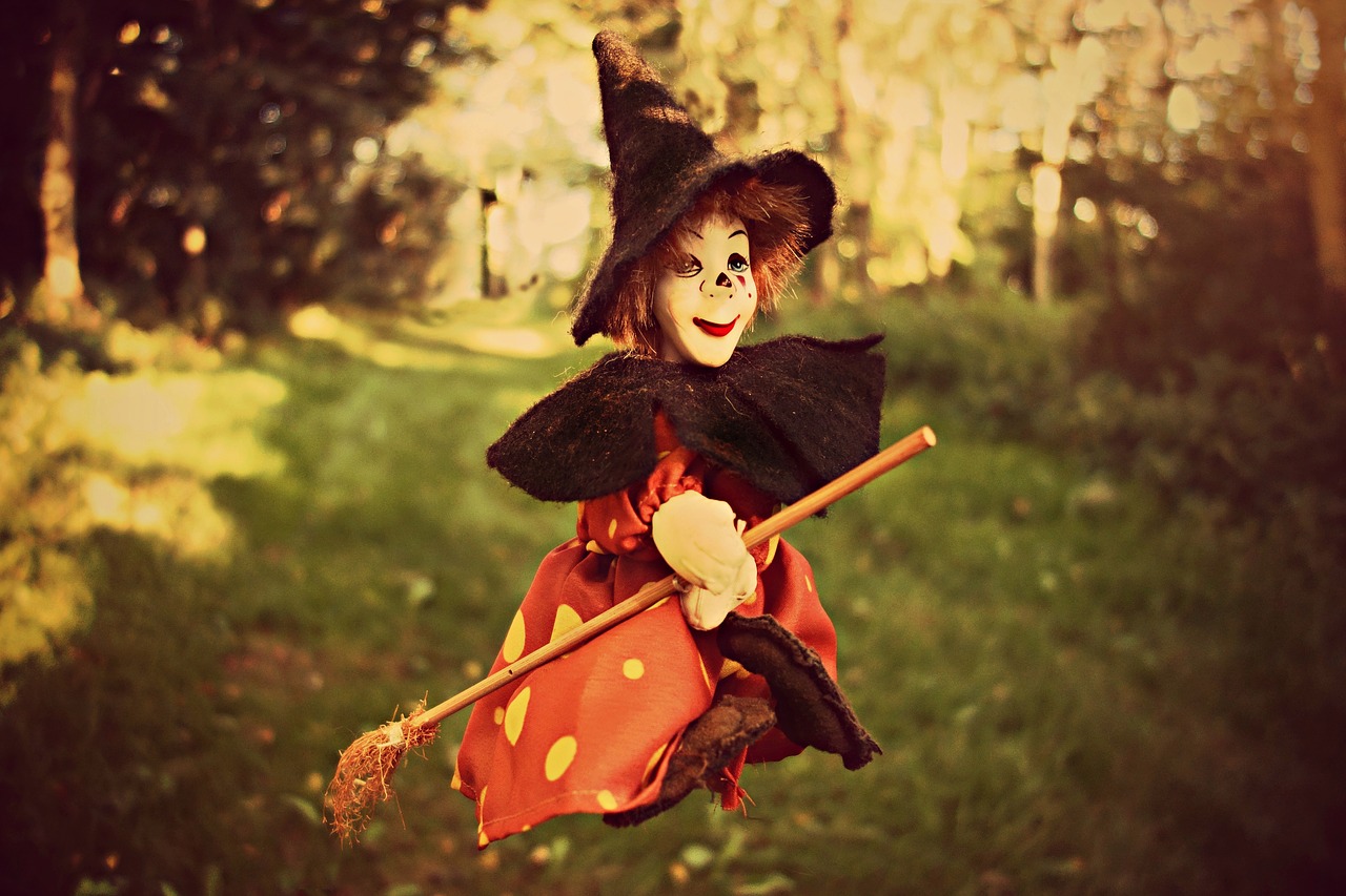 witch broom witch hat free photo