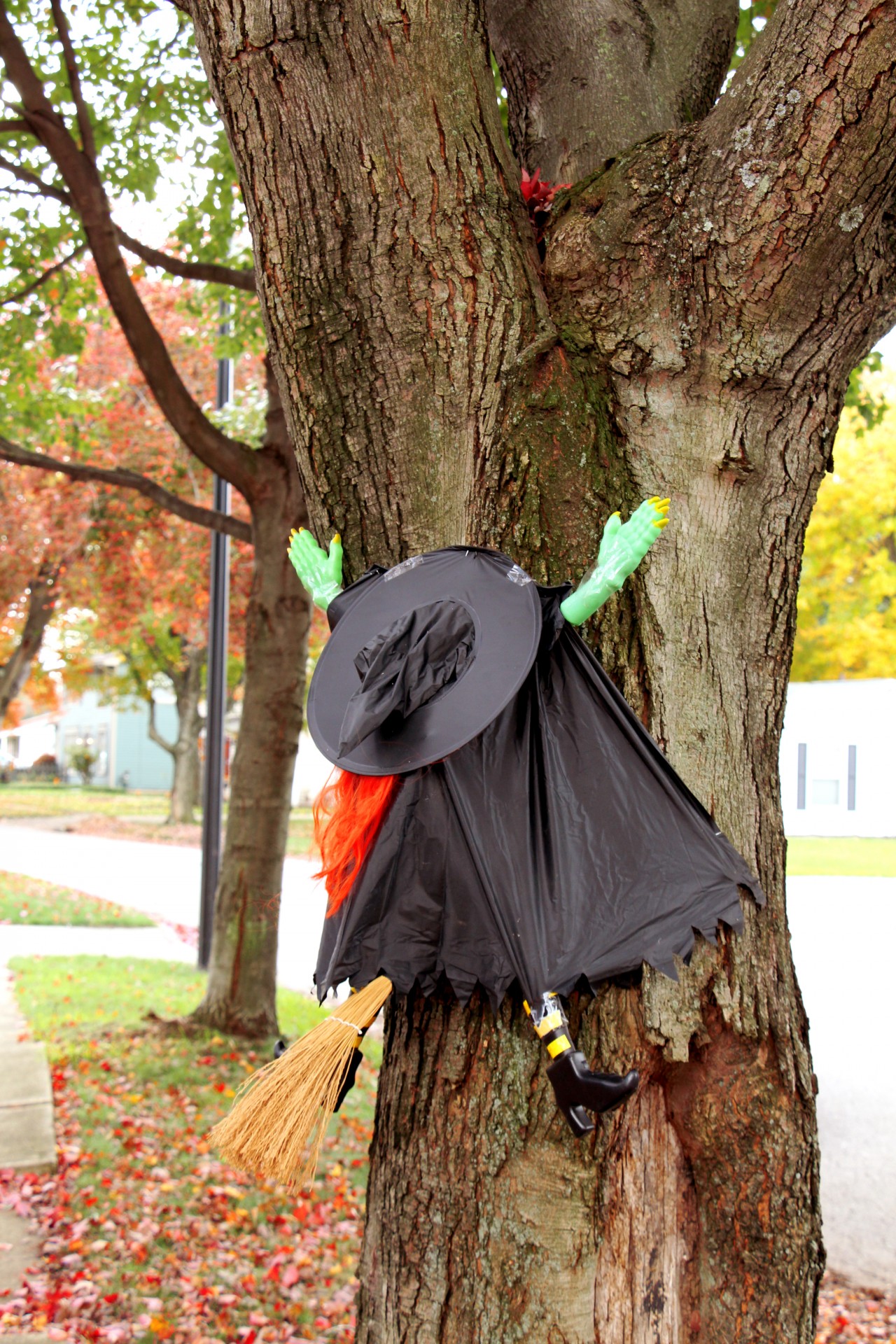 witch crashed witch halloween free photo