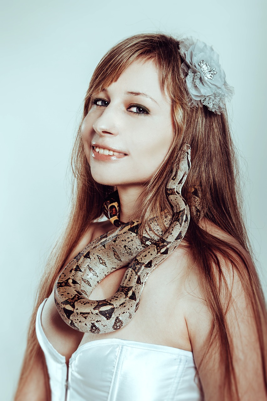 with a snake boa constrictor snake free photo