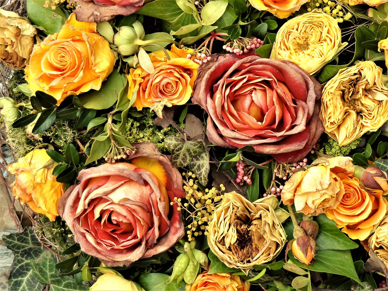 withered bouquet of flowers roses free photo