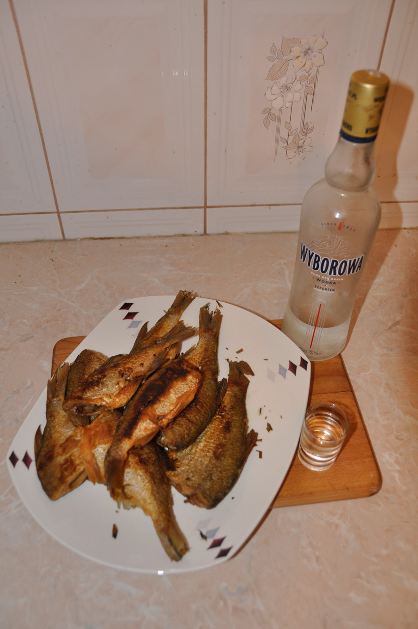 vodka refreshment fish free photo