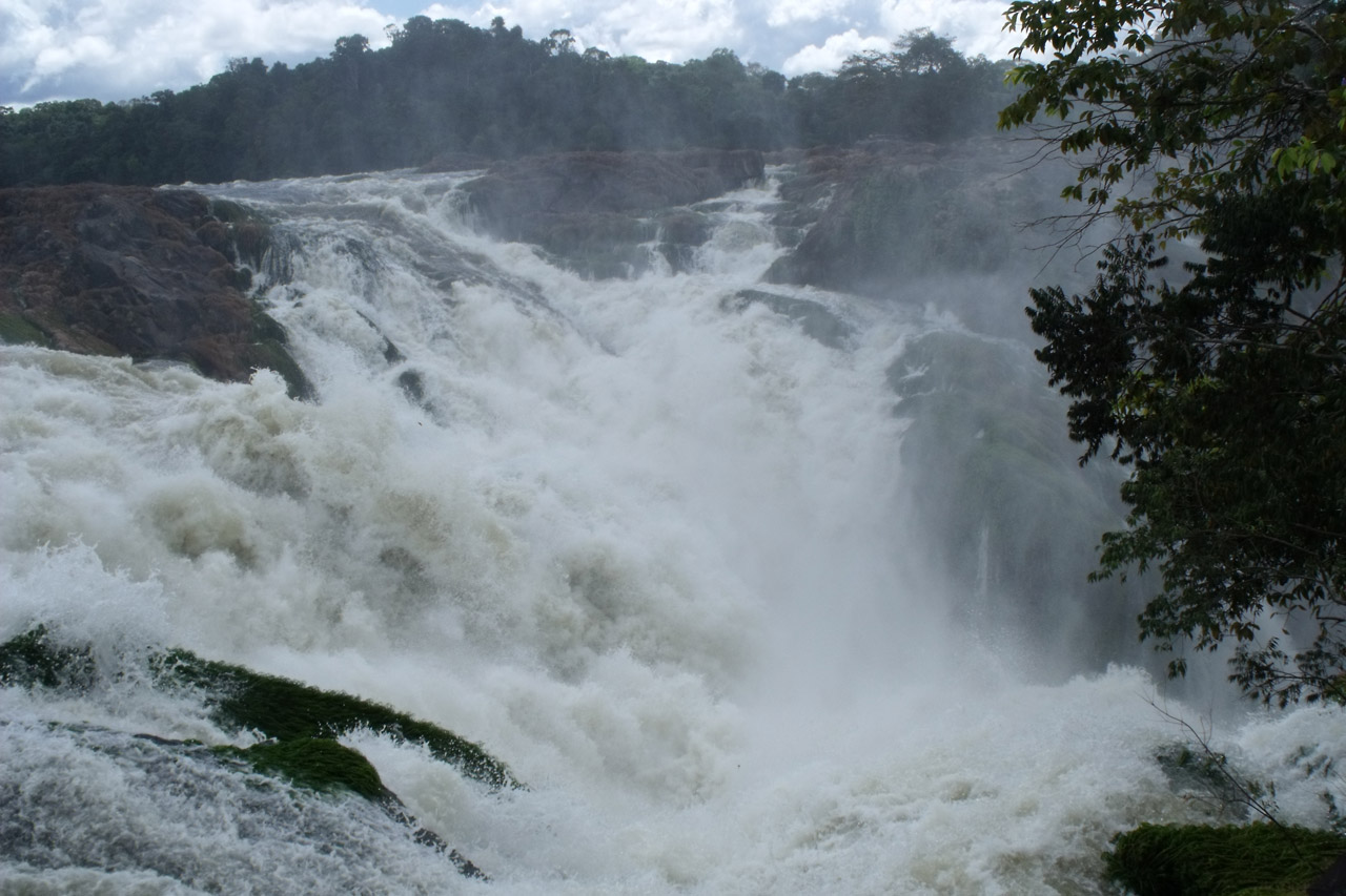 waterfall river caura free photo