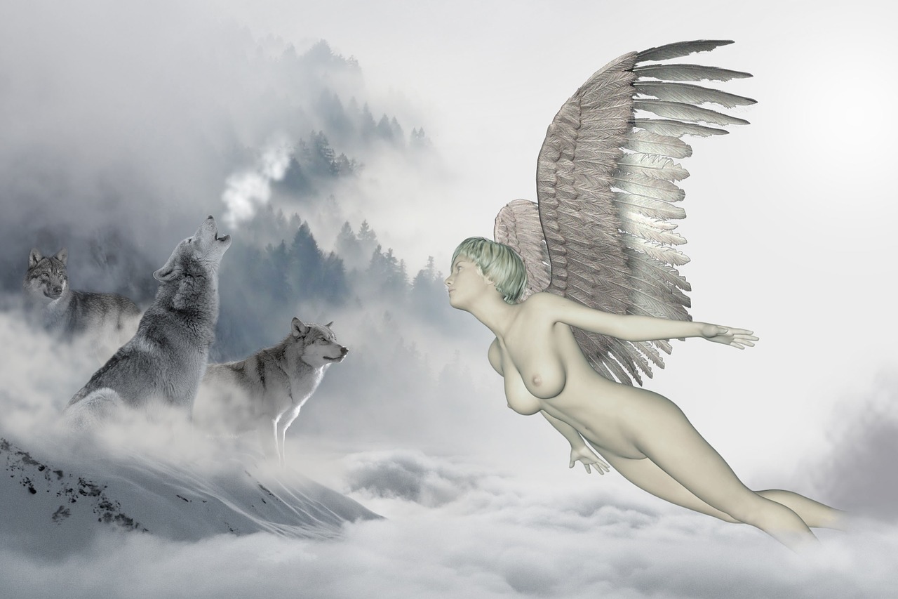 wolf angel cloud free photo