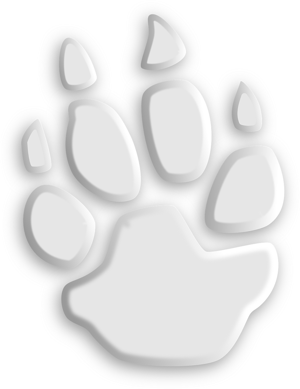 wolf paw footprint free photo