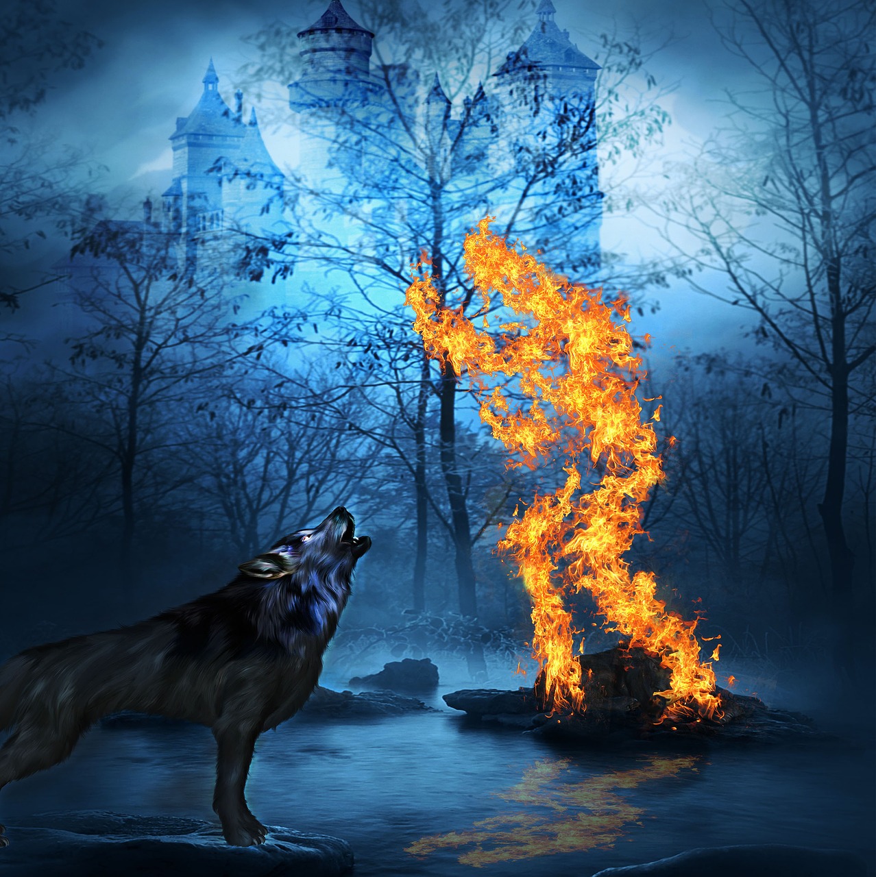 wolf horror fantasy free photo