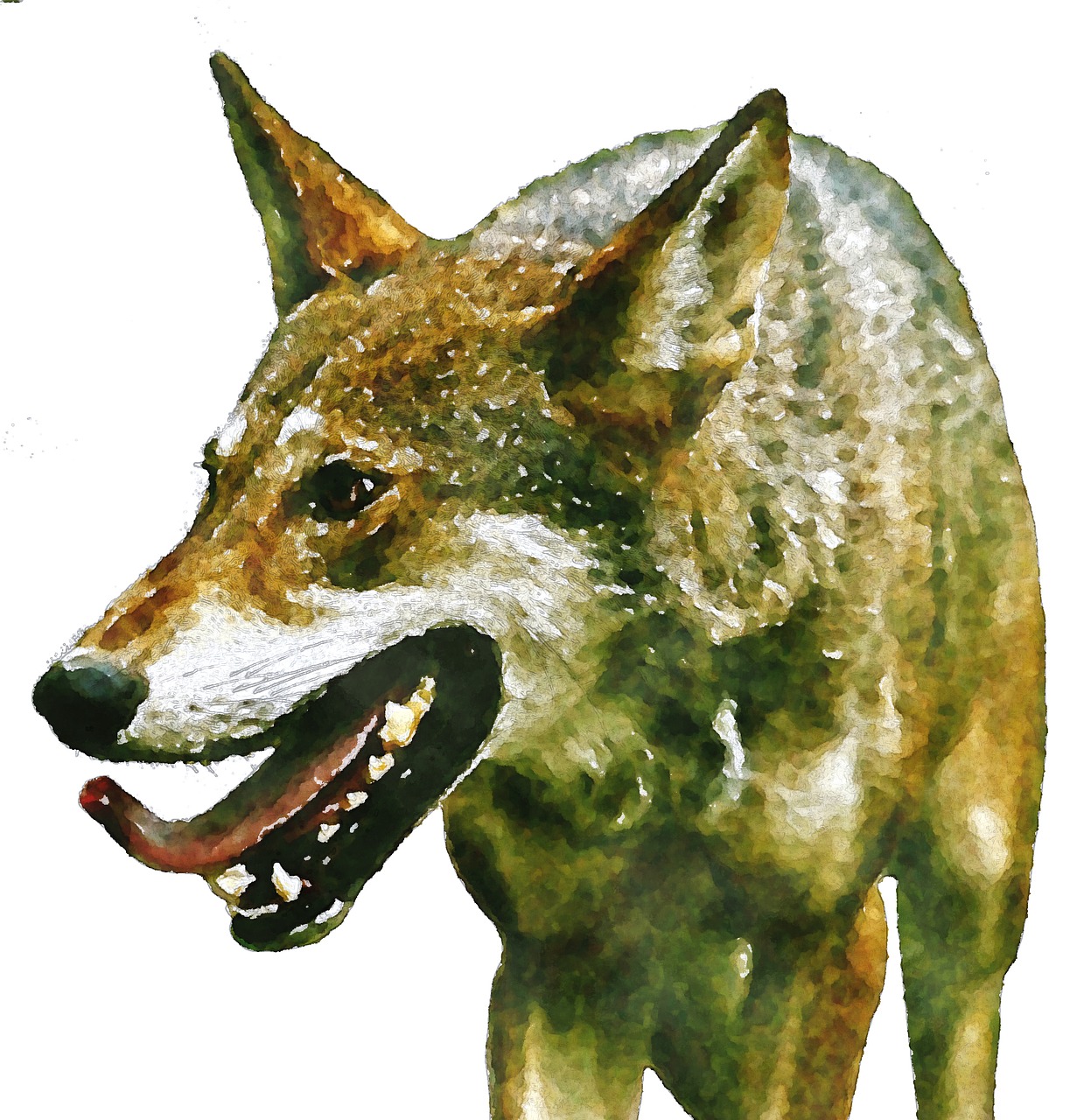 wolf predator watercolor free photo