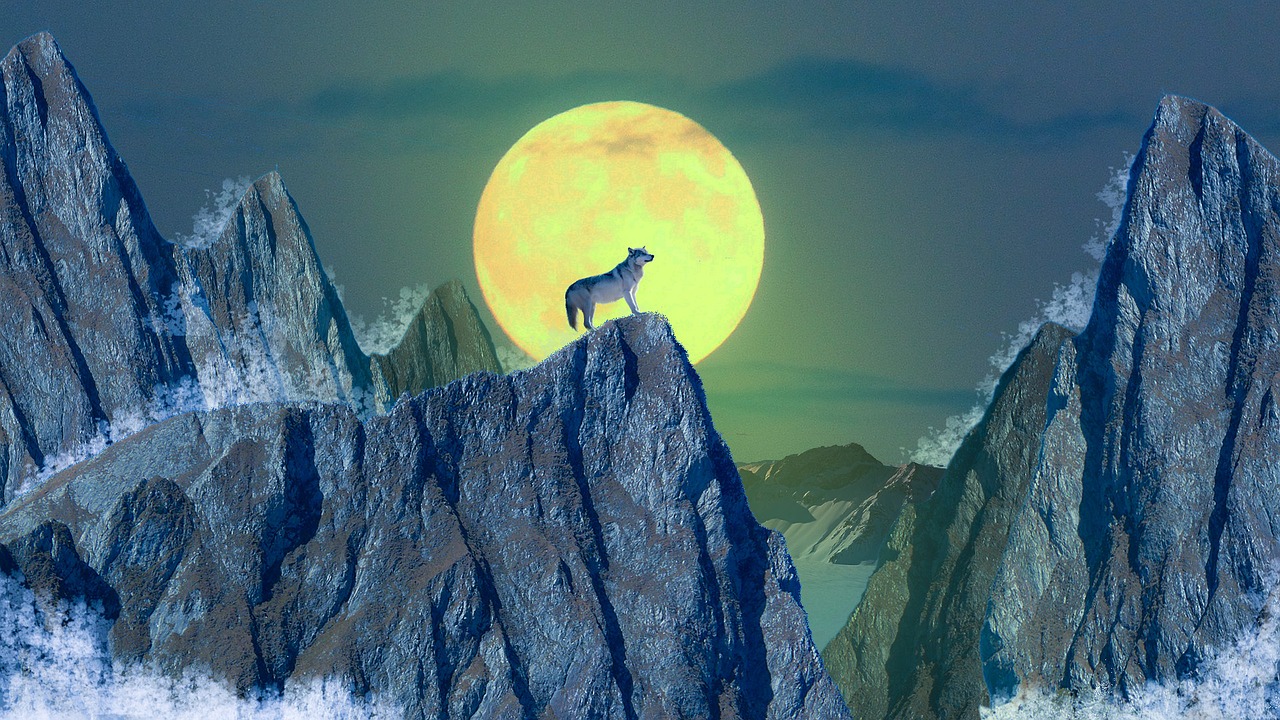 wolf moon mountain free photo