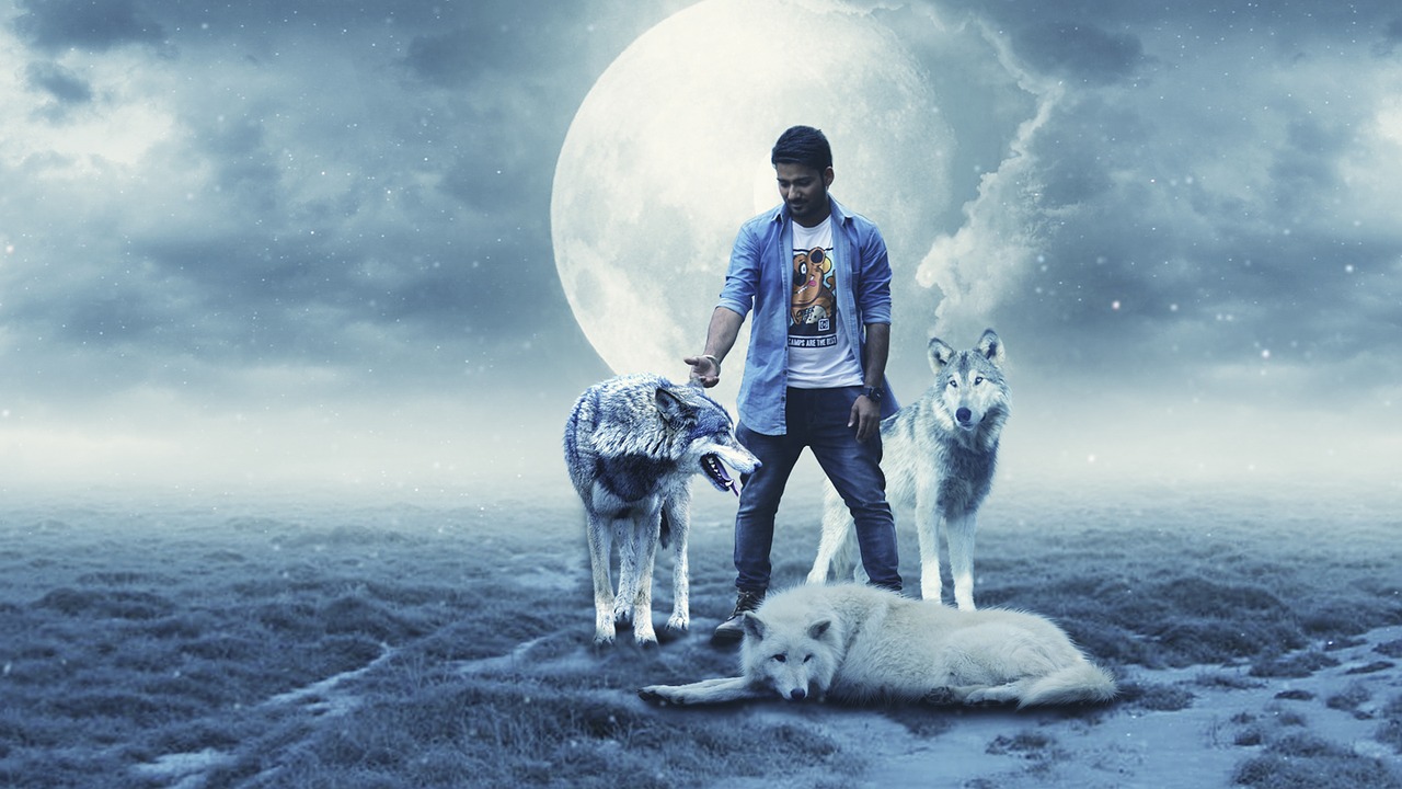 wolf bluemoon boy free photo