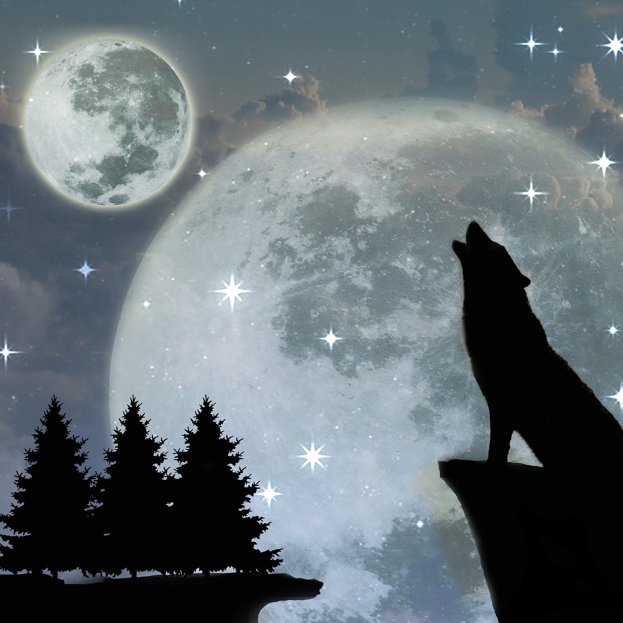 wolf howling at the moon free photo
