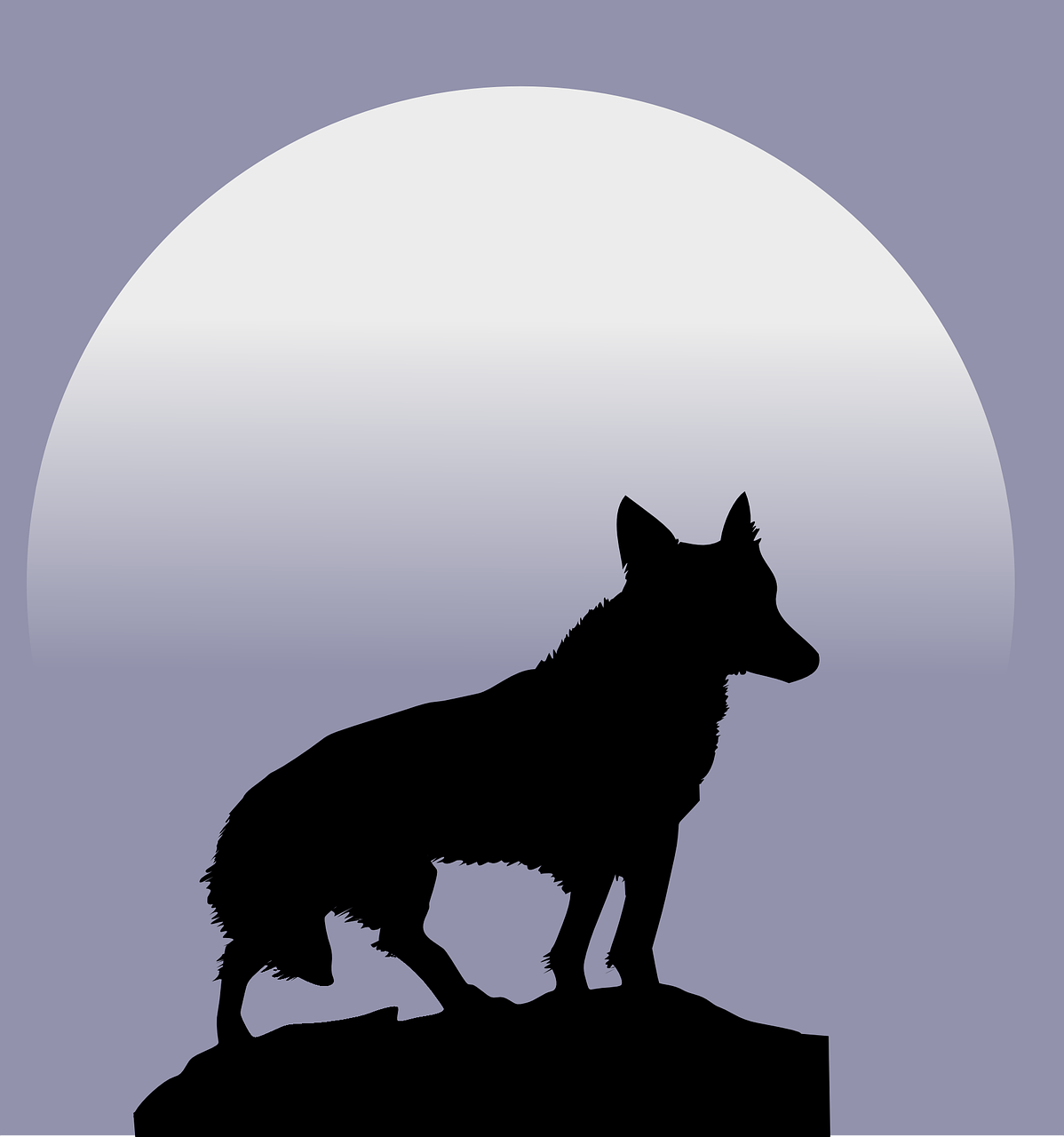 wolf moon silhouette free photo