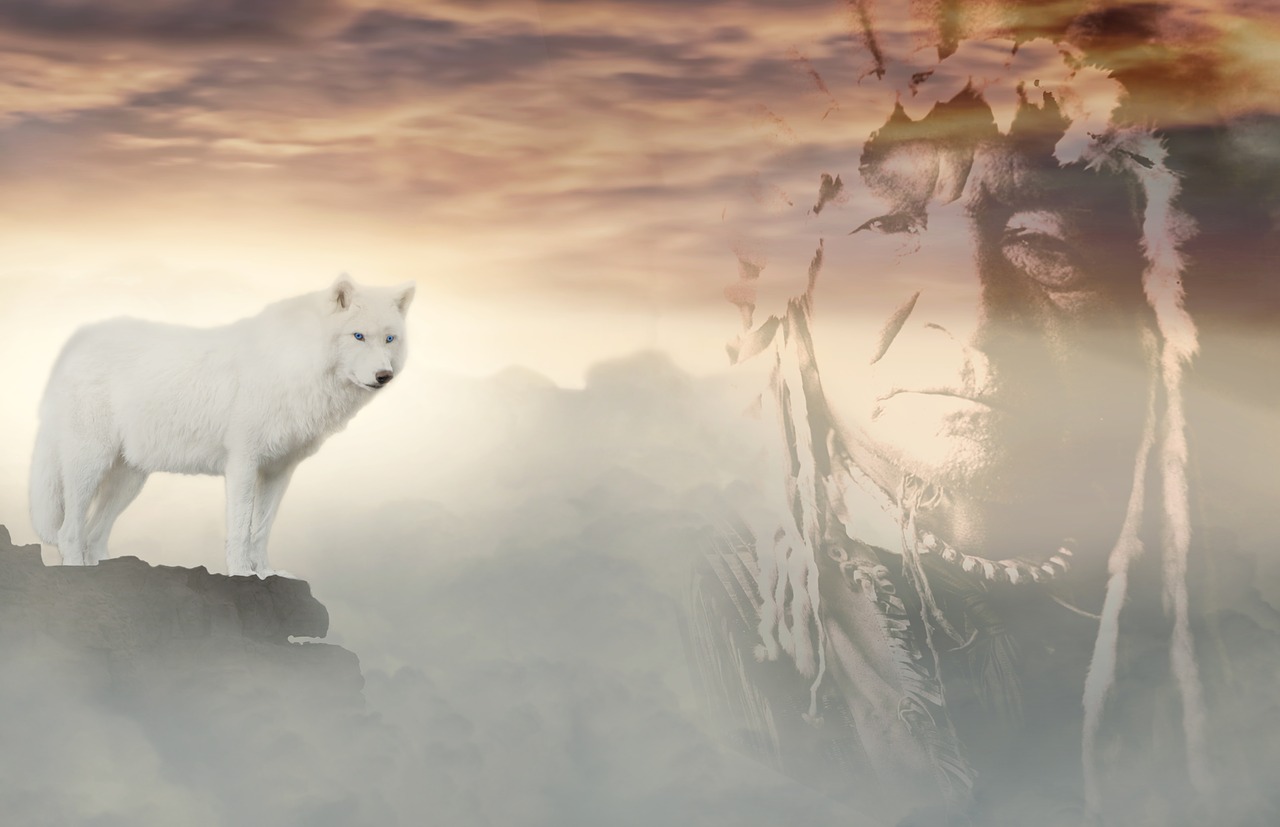 wolf  indians  clouds free photo