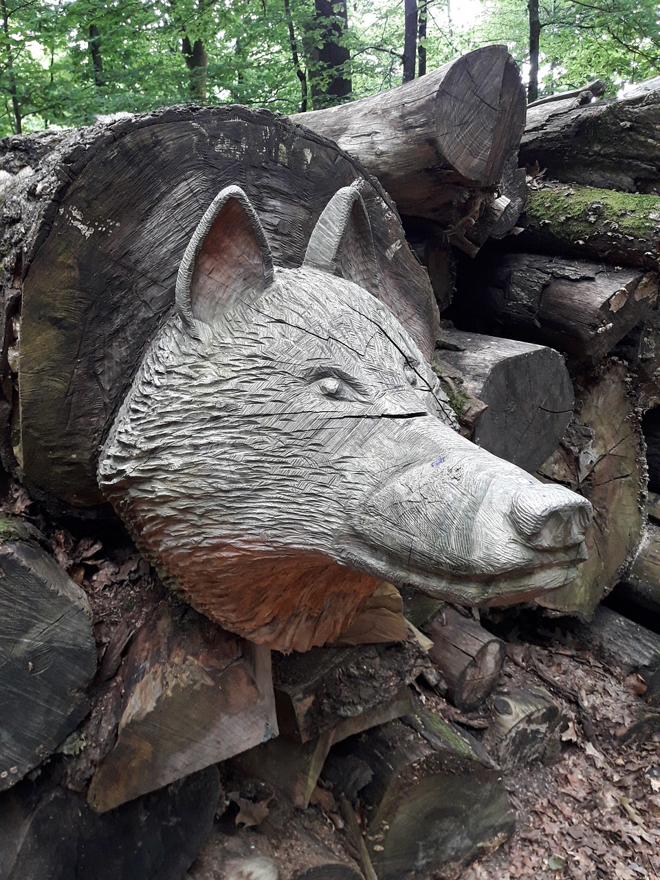 wolf  sculpture  wood free photo