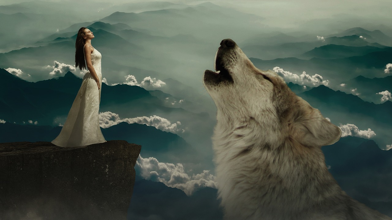 wolf  woman  fantasy free photo