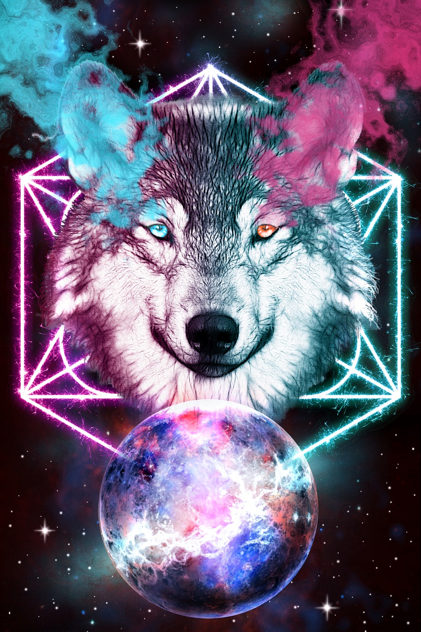 wolf  fantasy  space free photo