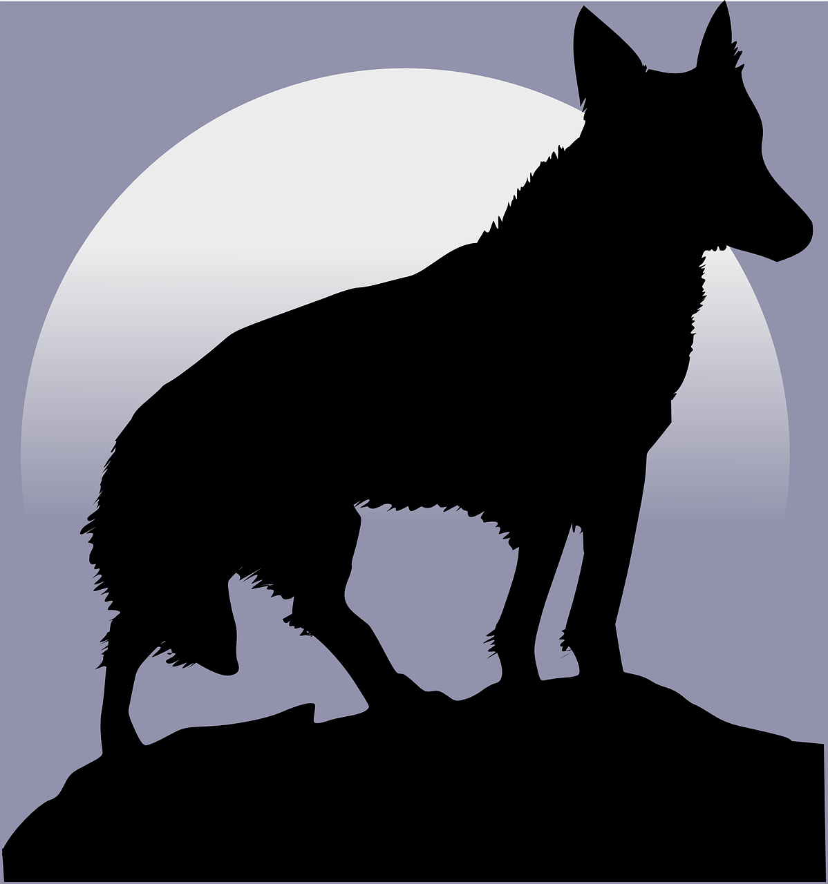 wolf silhouette moon free photo