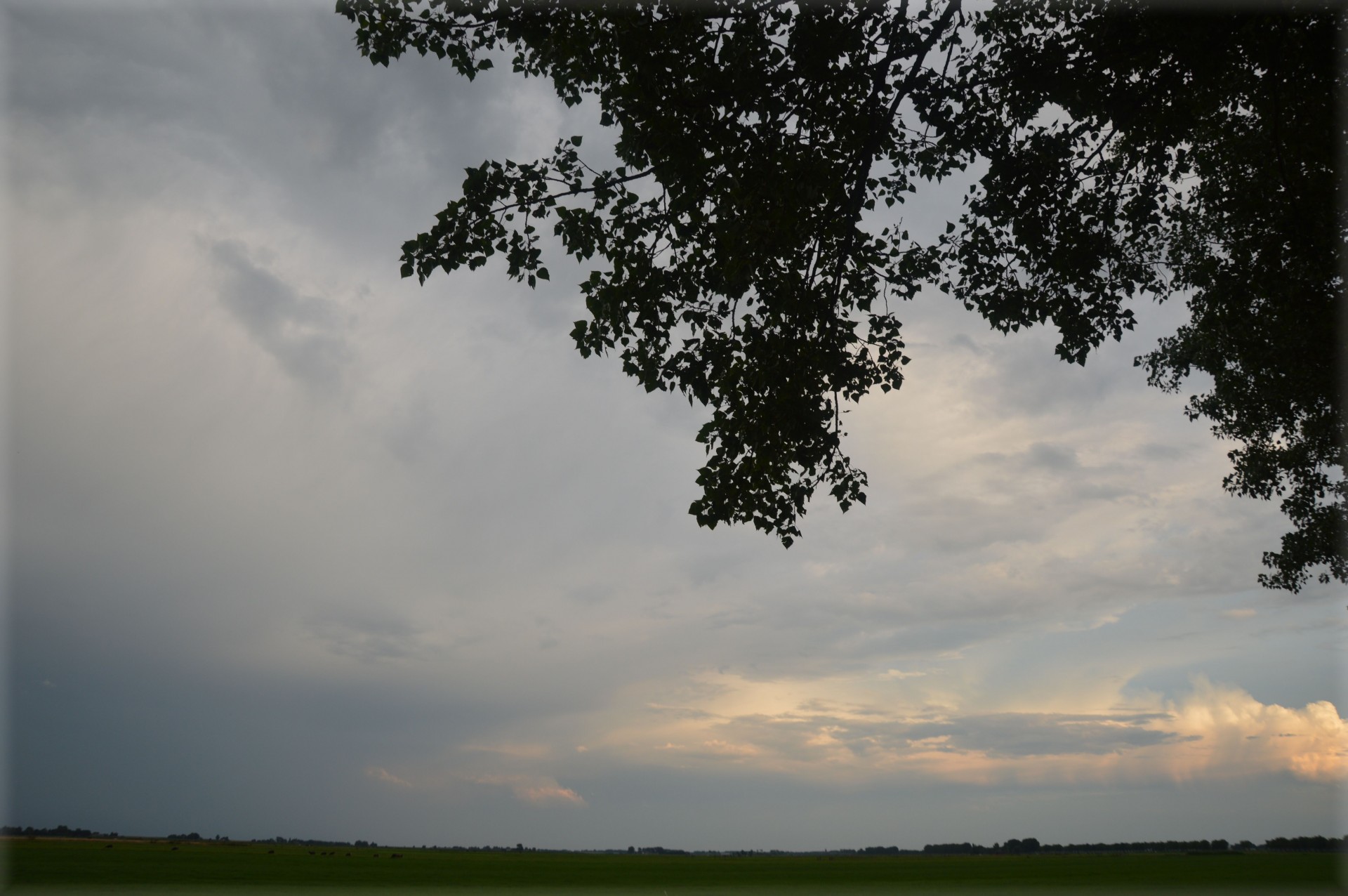 weather climate clouds free photo