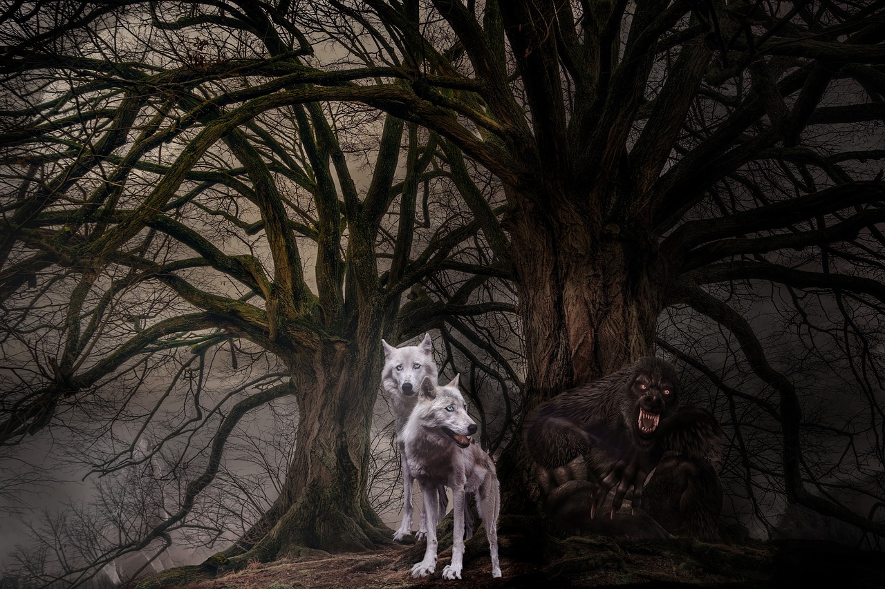 wolves wolf fantasy free photo