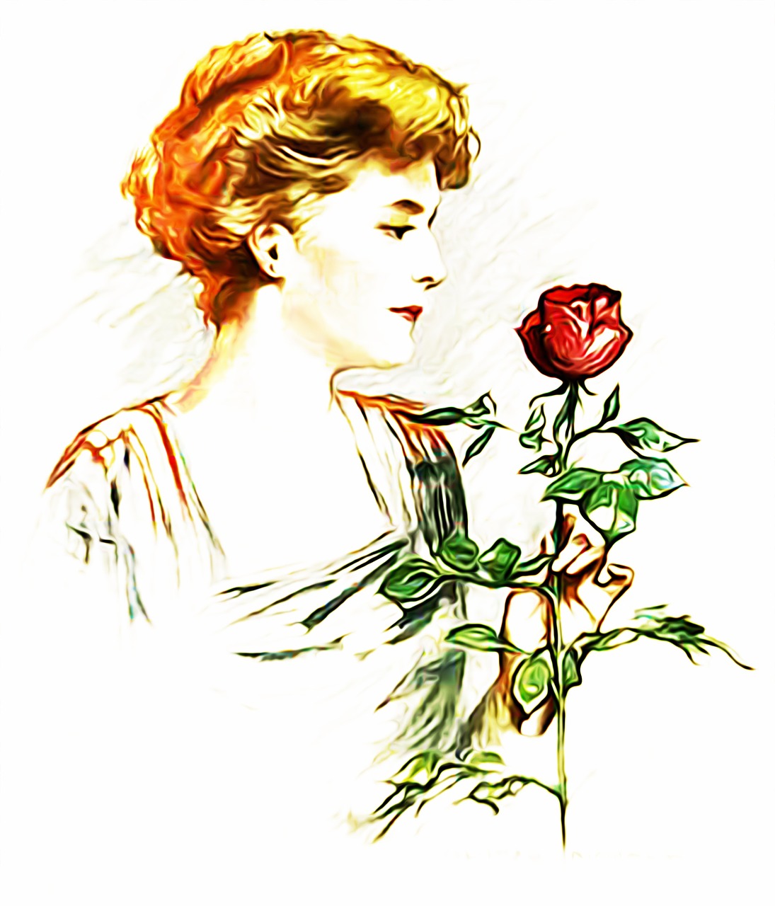 woman roses woman holding a rose free photo
