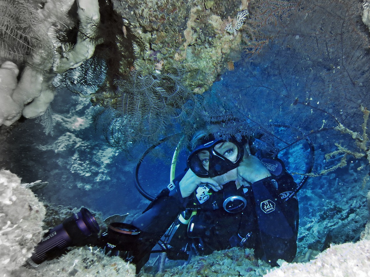 woman diver scuba diving free photo