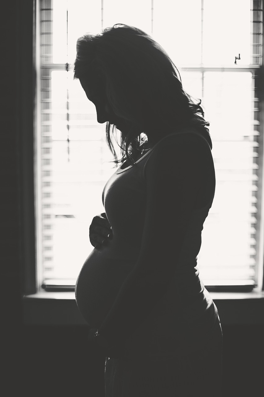 woman pregnant mother free photo