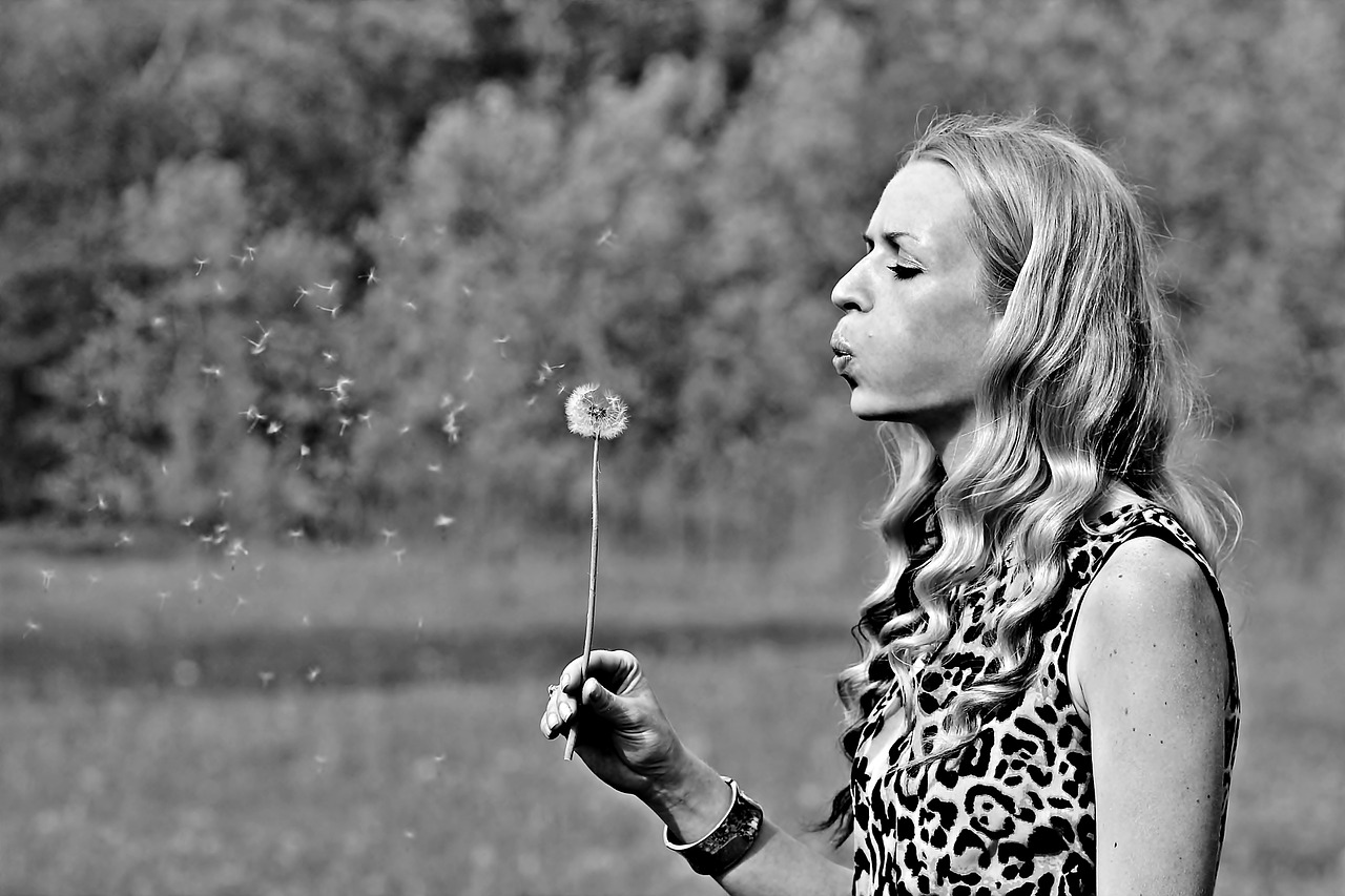 dandelion woman flower free photo