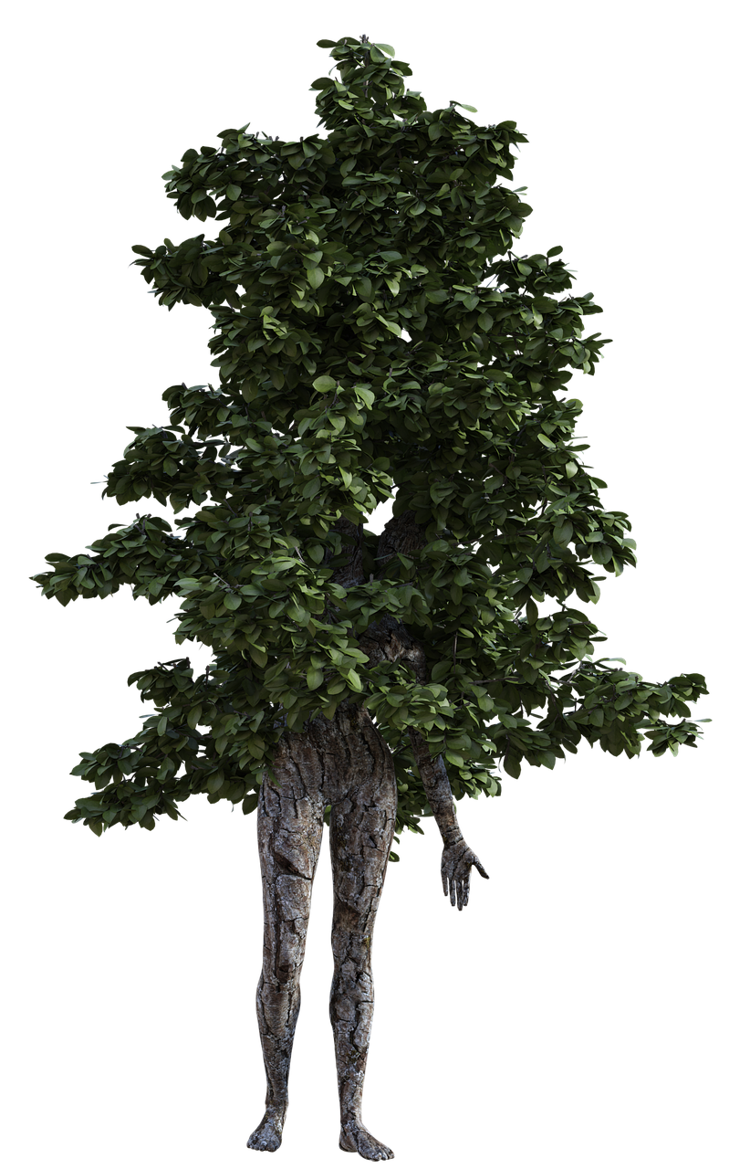 woman tree figure free photo