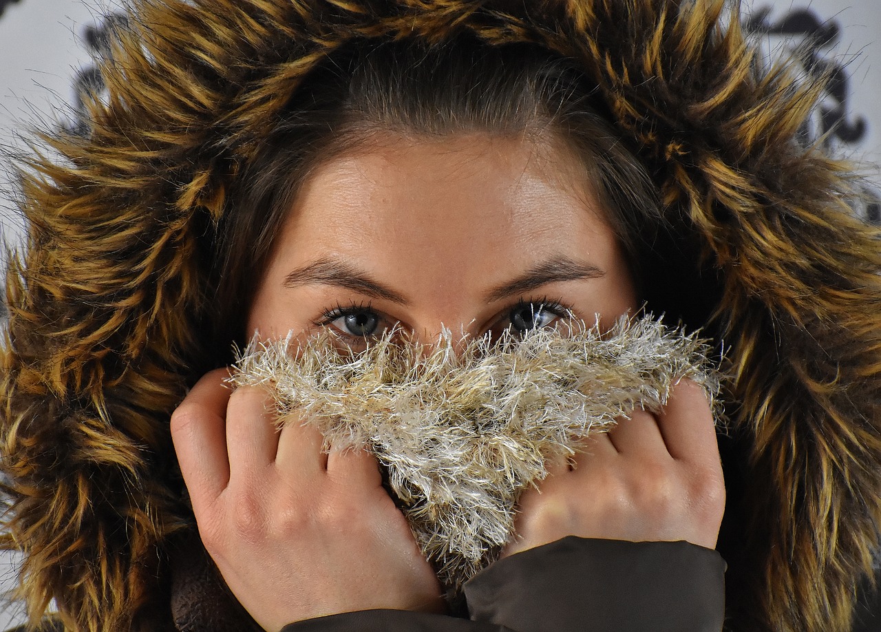 woman winter hood free photo