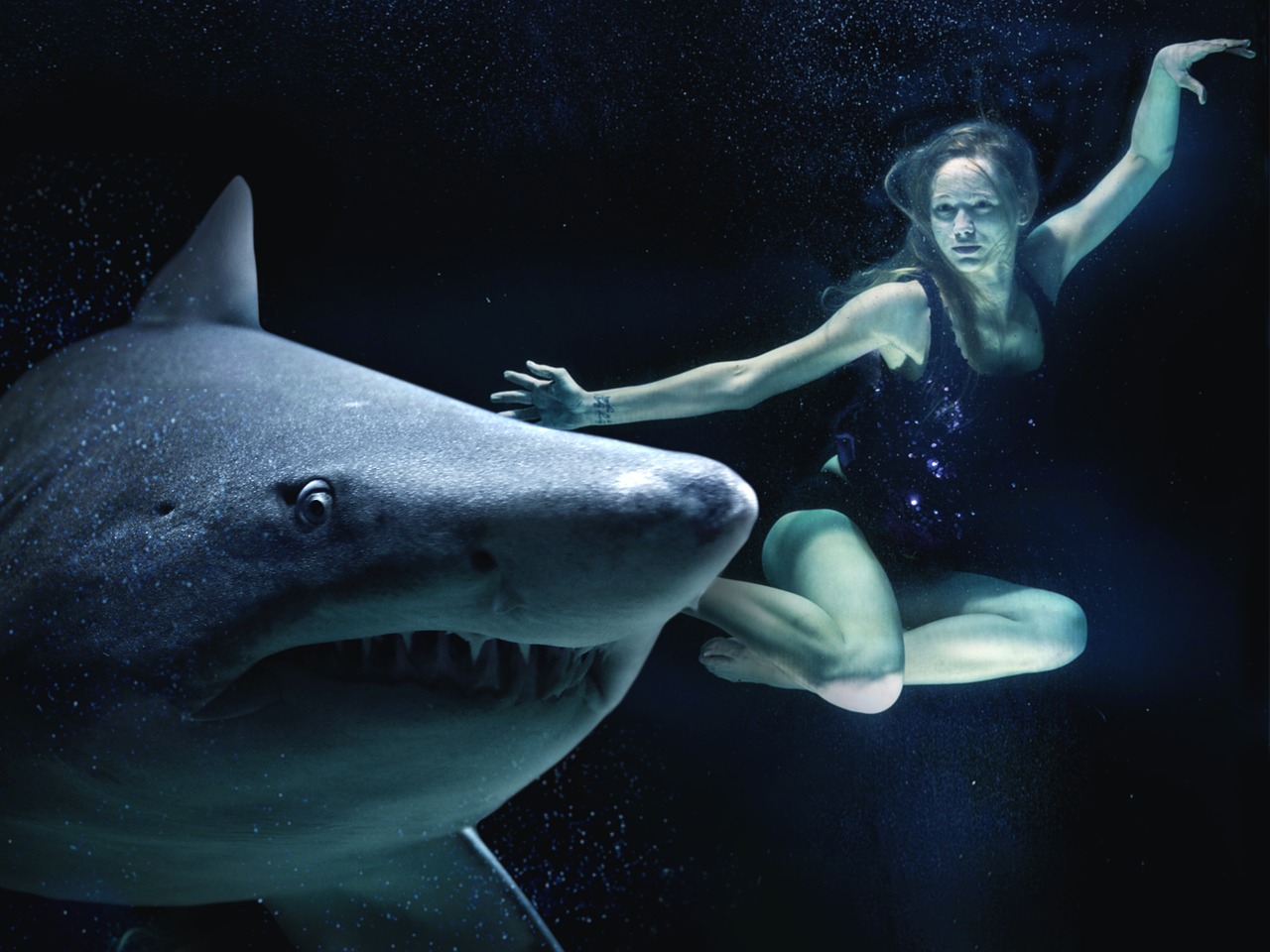 woman hai great white shark free photo