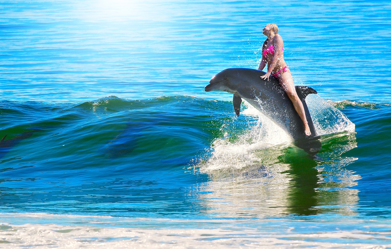 woman dolphin ride free photo