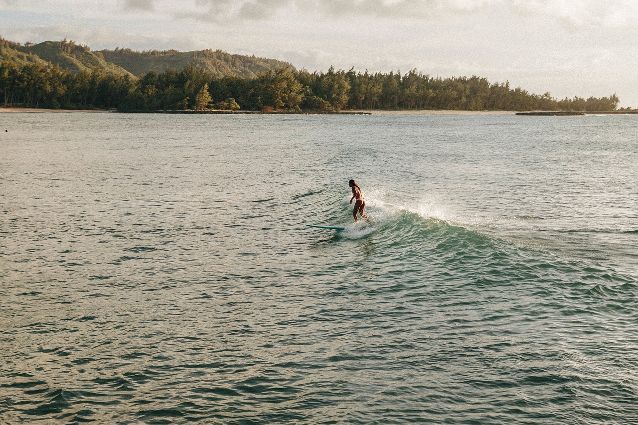 woman girl surfing free photo