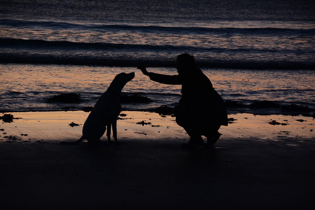 woman dog sea free photo