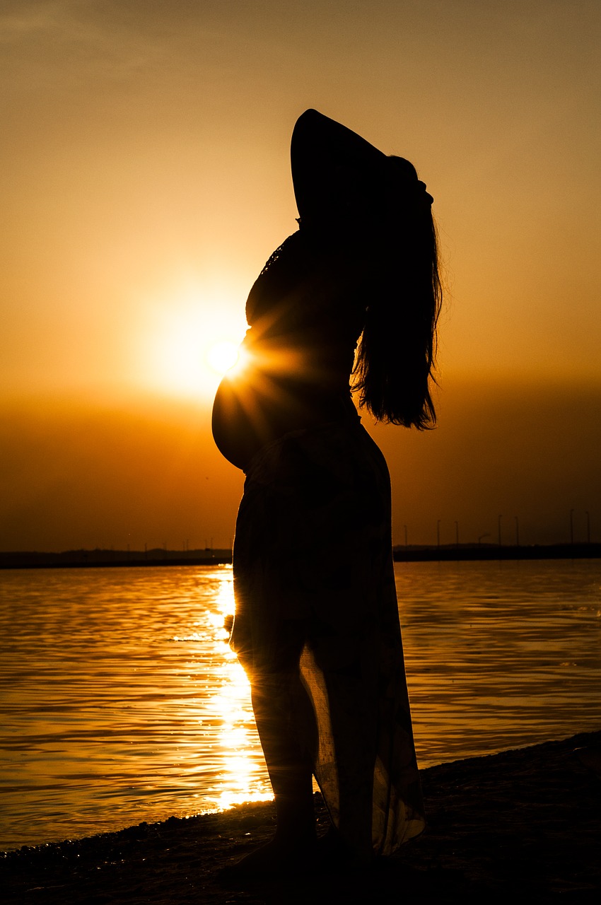 woman pregnant woman essay free photo