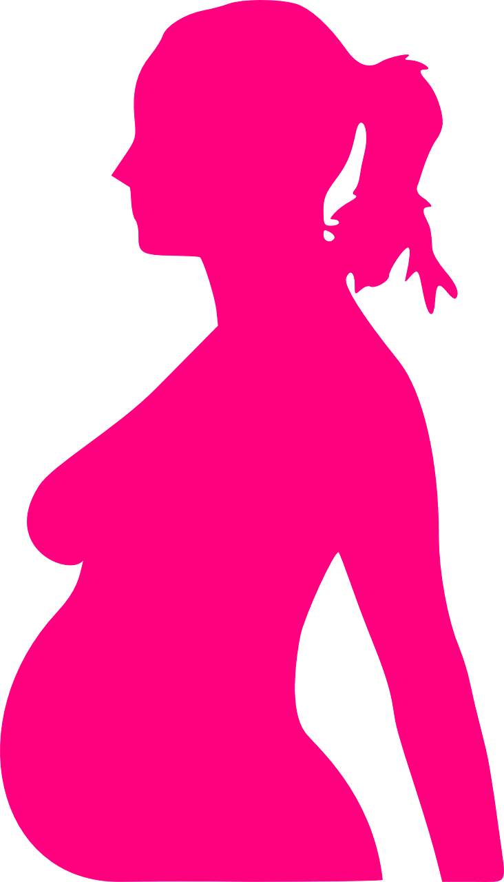 woman pregnant silhouette free photo