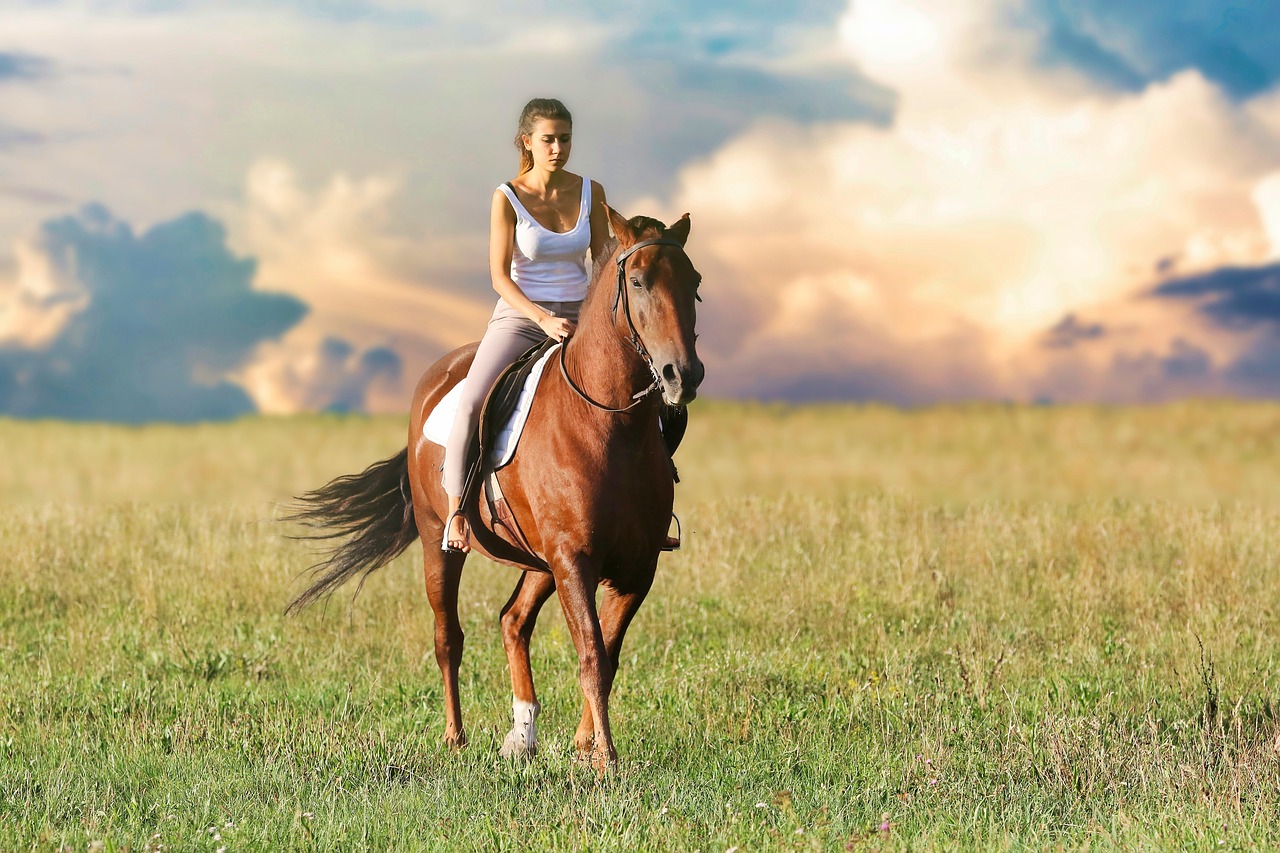 woman  riding  horse free photo