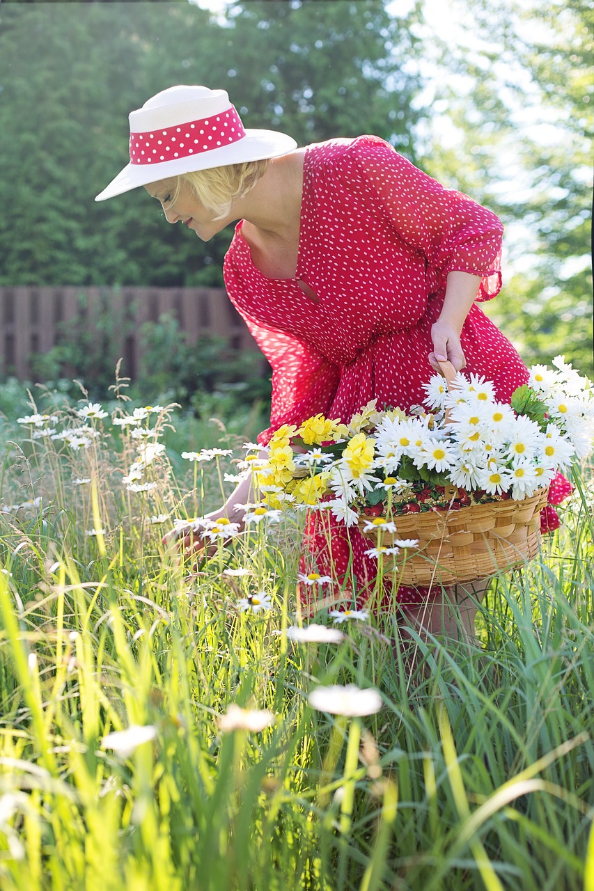 woman  picking daisies  summer free photo