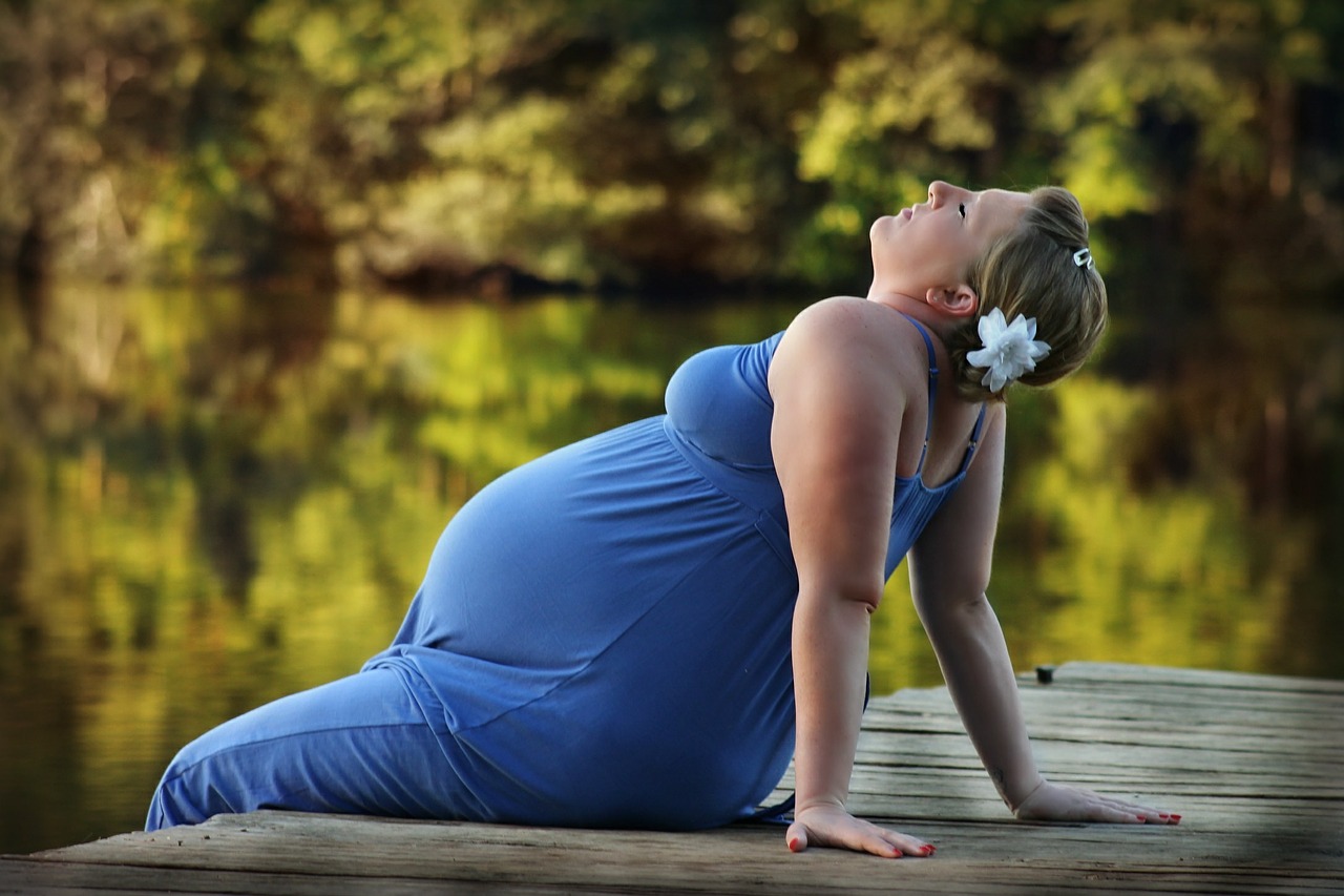 woman pregnant pier free photo