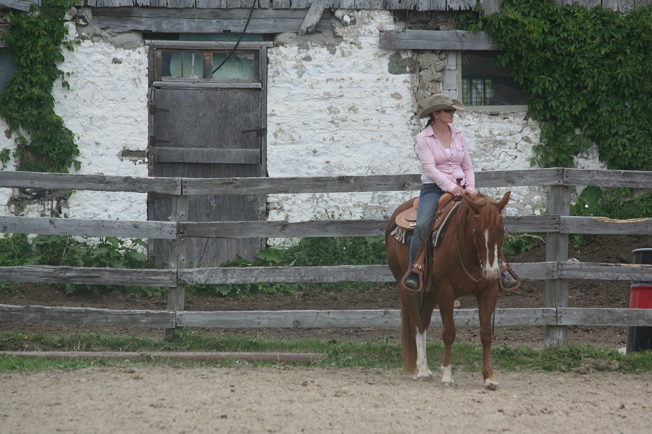 woman riding horse free photo