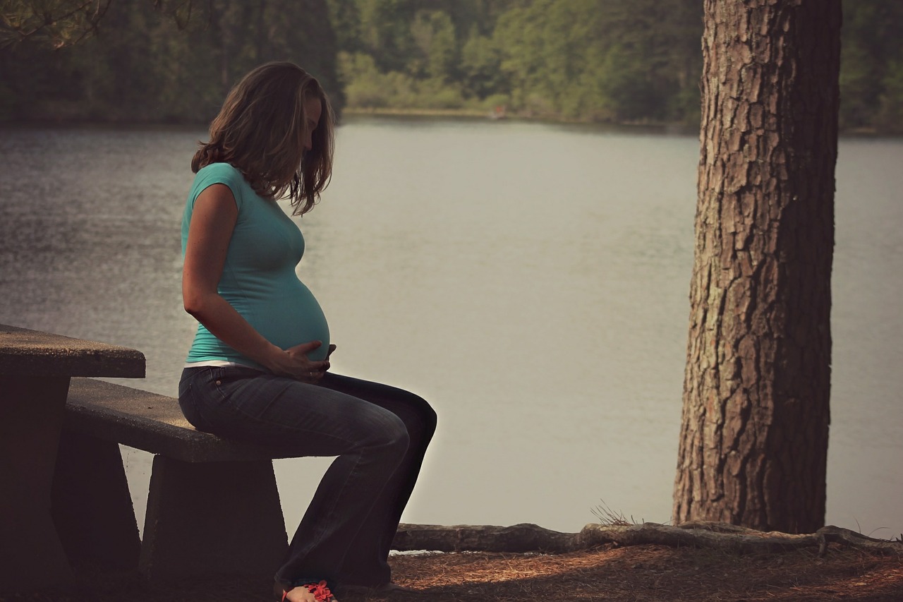 woman pregnant maternity free photo