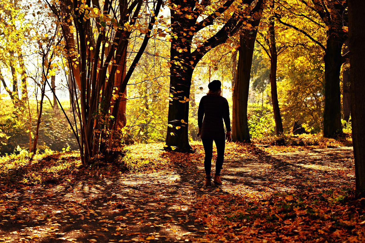 woman  person  walking free photo