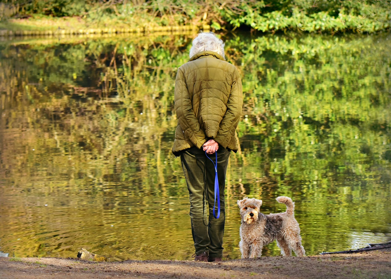 woman  elderly  standing free photo