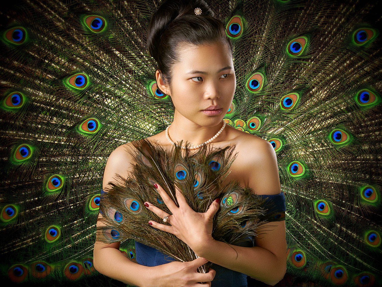 woman  feather  peacock free photo