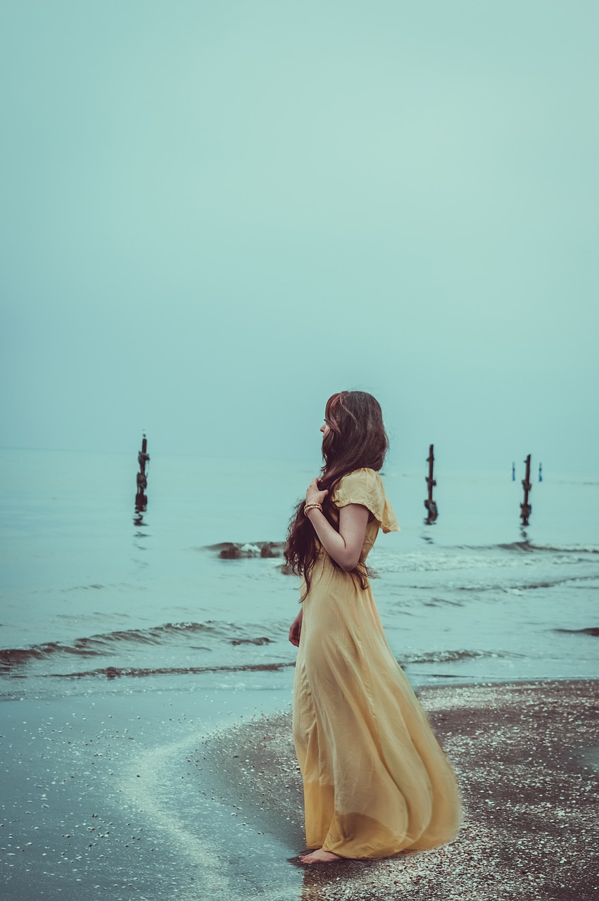 woman  beach  dress free photo