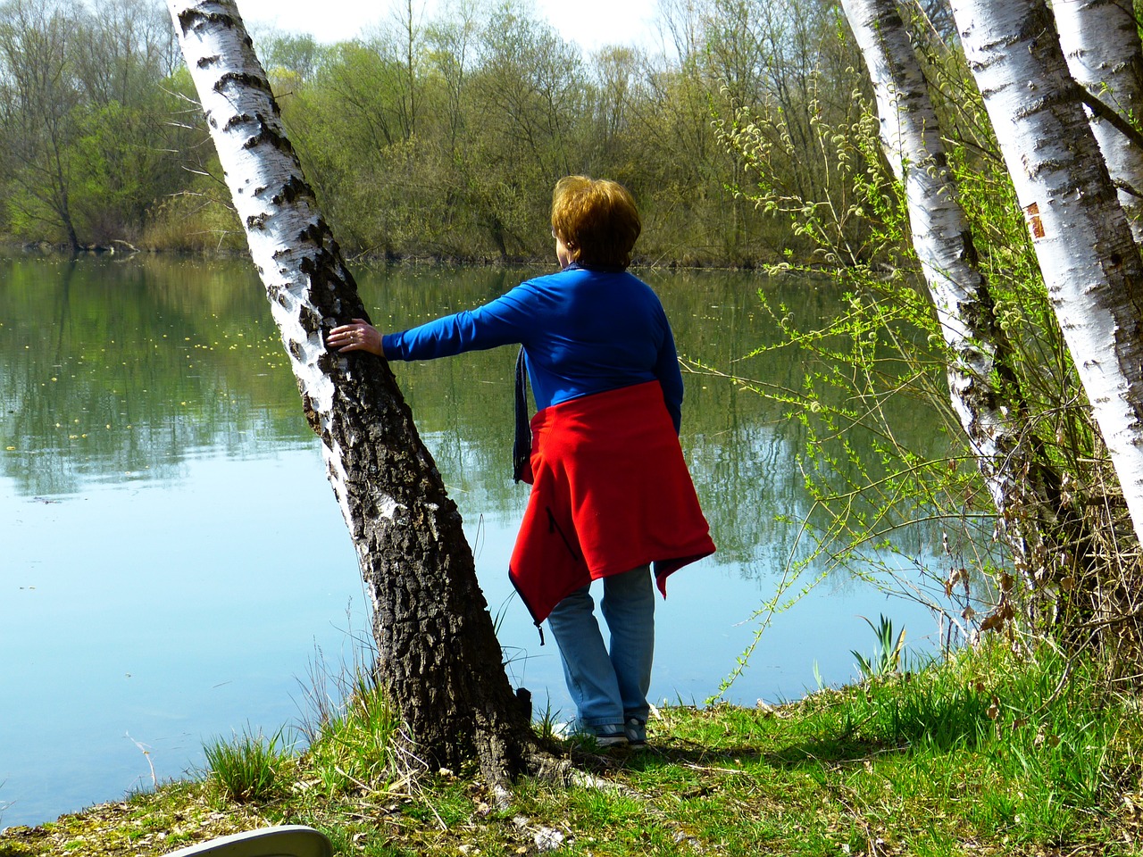 woman tree birch free photo