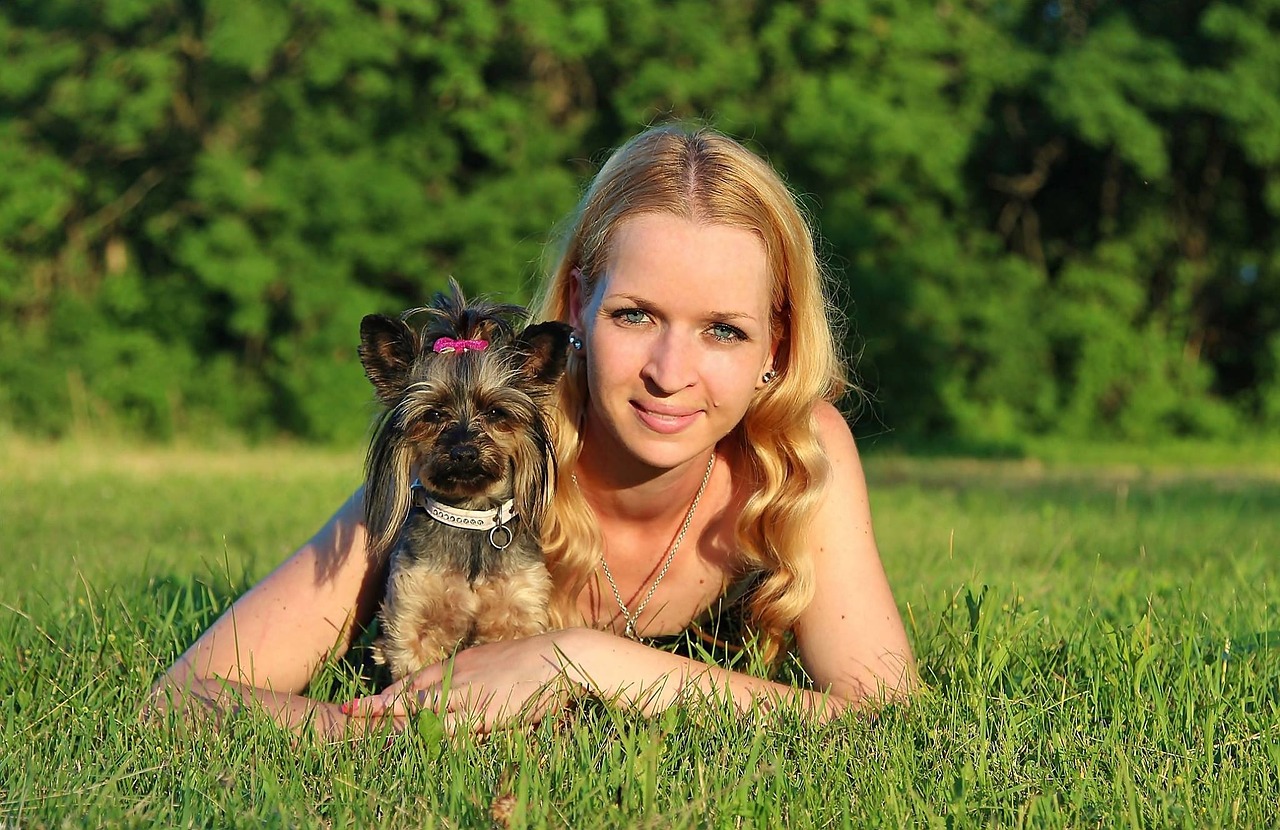 woman dog yorkshire terrier free photo
