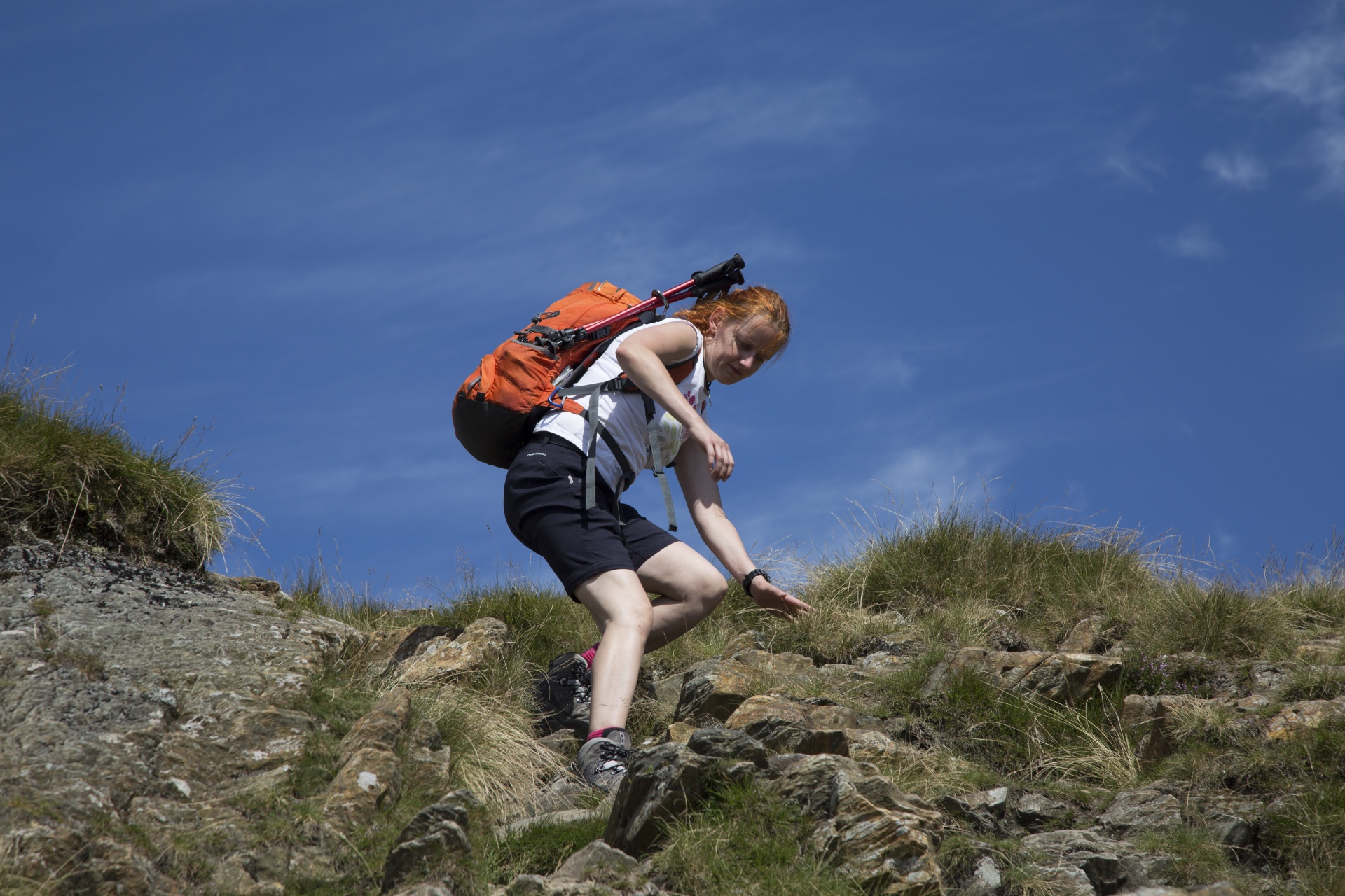 mountain top woman free photo